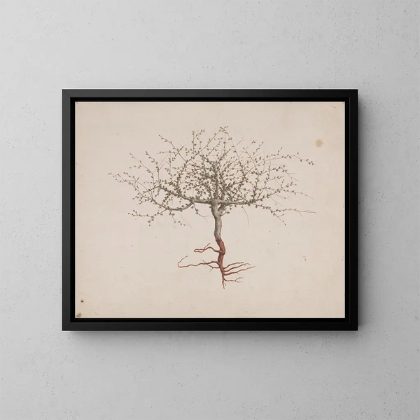 Baume de Galaad - Luigi Balugani — gerahmtes Bild an der Wand