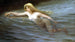 Una ninfa marina - Luis Ricardo Falero — vista dell’opera