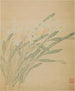 Narcisse - Ma Yuanyu — Ansicht des Kunstwerks