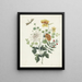 Nature morte aux fleurs - Machtelt Moninckx — quadro incorniciato alla parete