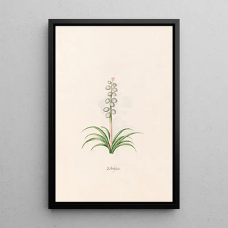 Magdelena Rosina Funck - Botrdes.webp