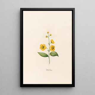 Magdelena Rosina Funck - Dotter blme.webp