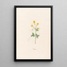 Jasmin - Magdalena Rosina Funck — quadro incorniciato alla parete