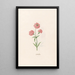 Leucojum - Magdalena Rosina Funck — quadro incorniciato alla parete