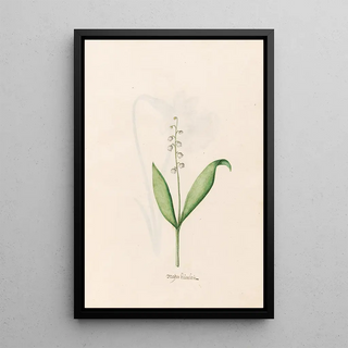 Magdelena Rosina Funck - Maen blmlein (Case Conflict).webp