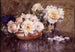 Roses bianche - Margaret Stoddart — vista dell’opera