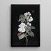 Apfelblüten - Margaretha Barbara Dietzsch — gerahmtes Bild an der Wand