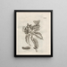 The Miraculous Transformation of Caterpillars and the Strange Food of Flowers Pl073 - Maria Sibylla Merian — framed artwork on a wall