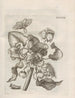 The Miraculous Transformation of Caterpillars and the Strange Food of Flowers Pl078 - Maria Sibylla Merian — artwork view
