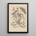 Dissertation über die Entstehung und die Metamorphosen der Insekten aus Surinam Pl05 - Maria Sibylla Merian — gerahmtes Bild an der Wand