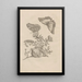 Dissertation sur la génération et les métamorphoses des insectes du Surinam Pl09 - Maria Sibylla Merian — framed artwork on a wall