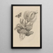 Dissertation über die Entstehung und die Metamorphosen der Insekten von Surinam Pl12 - Maria Sibylla Merian — gerahmtes Bild an der Wand