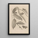 Dissertation sur la génération et les métamorphoses des insectes du Surinam Pl25 - Maria Sibylla Merian — quadro incorniciato alla parete