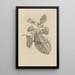 Dissertation sur la génération et les métamorphoses des insectes du Surinam Pl28 - Maria Sibylla Merian — gerahmtes Bild an der Wand