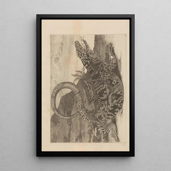 Dissertatio de generatione et metamorphoses des insectes surinamens Pl70 - Maria Sibylla Merian — framed artwork on a wall