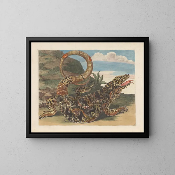 Dissertation sulla generazione e le trasformazioni degli insetti del Suriname Pl21 - Maria Sibylla Merian — quadro incorniciato alla parete