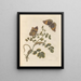 Dissertation on the generation and transformations of insects from Suriname Pl45 - Maria Sibylla Merian — framed artwork on a wall