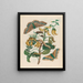 Pallisadenboom - Maria Sibylla Merian — framed artwork on a wall