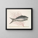 Mormijrus et le poisson osseux - Mark Catesby — quadro incorniciato alla parete