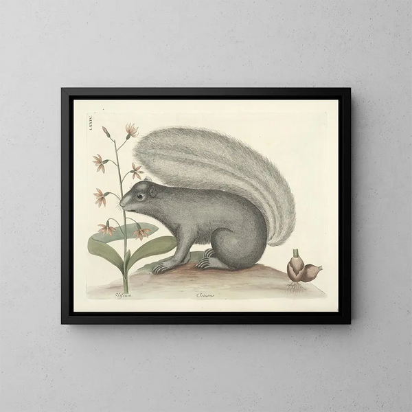 Immagini di pesci, serpenti, insetti e altri animali così come di alcune piante Pl074 - Mark Catesby — quadro incorniciato alla parete