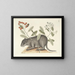 Immagini di pesci, serpenti, insetti e altri animali così come di alcune piante Pl079 - Mark Catesby — quadro incorniciato alla parete