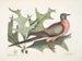 di Quercia scarlatta, foglie più larghe e spinose, Piccione migratore - Mark Catesby — vista dell’opera