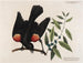 Der Amsel mit roten Flügeln, des Lorbeerstrauchs mit breiten Blättern und der Beerenkerze - Mark Catesby — Ansicht des Kunstwerks