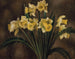 Jonquilles - Mark Gertler — vista dell’opera