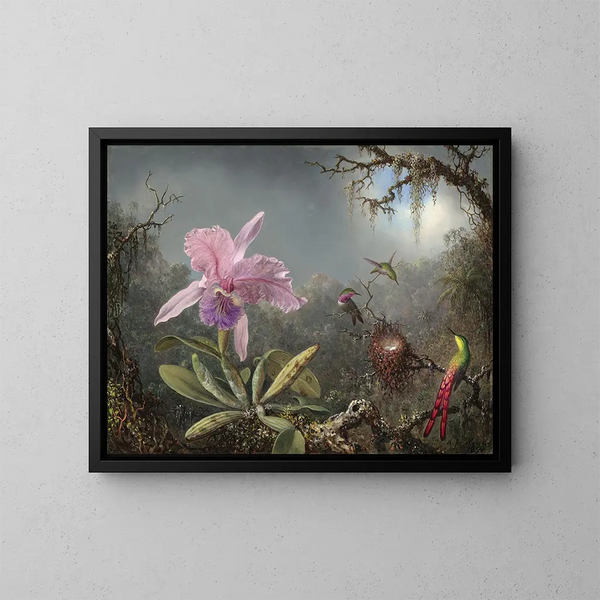 Orchidea Cattleya e tre colibrì - Martin Johnson Heade — quadro incorniciato alla parete