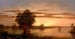Sonnenaufgang in Florida - Martin Johnson Heade — Ansicht des Kunstwerks