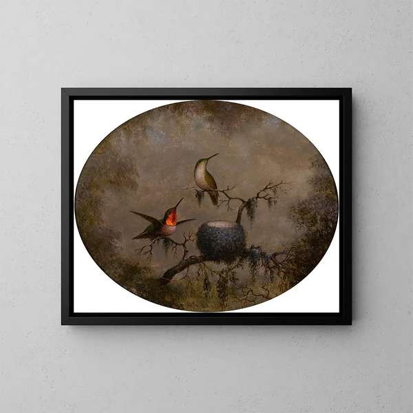 Colibrì e il loro nido - Martin Johnson Heade — quadro incorniciato alla parete