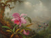 Orchidee e colibrì - Martin Johnson Heade — vista dell’opera
