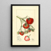 Fragaria Wooster - Mary Daisy Arnold — quadro incorniciato alla parete