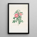 Rosa carolina - Mary Lawrance — quadro incorniciato alla parete