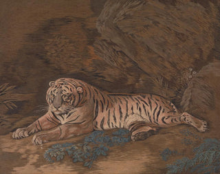 Tigre - Mary Linwood — vista dell’opera