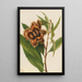 American Chestnut Tree Painting Castanea dentata - Mary Vaux Walcott — framed artwork on a wall