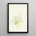 Houstonie à feuilles de serpolet Houstonia serpyllifolia - Mary Vaux Walcott — gerahmtes Bild an der Wand