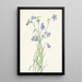 Campanule à feuilles rondes Campanula rotundifolia - Mary Vaux Walcott — gerahmtes Bild an der Wand