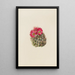Cactus hérisson Coryphantha arizonica - Mary Vaux Walcott — quadro incorniciato alla parete