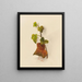 Lierre - Mary Vaux Walcott — quadro incorniciato alla parete