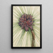 Pin des marais Pinus palustris - Mary Vaux Walcott — quadro incorniciato alla parete