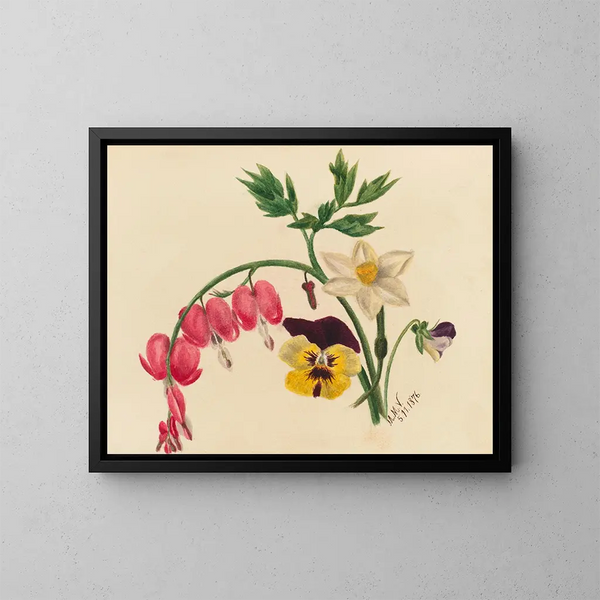 Blumenmischung - Mary Vaux Walcott — gerahmtes Bild an der Wand