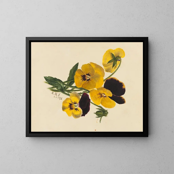Gedanken - Mary Vaux Walcott — gerahmtes Bild an der Wand
