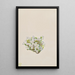 Phlox caespitosa - Mary Vaux Walcott — quadro incorniciato alla parete