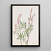 Hedysarum rose Hedysarum americanum - Mary Vaux Walcott — gerahmtes Bild an der Wand