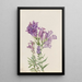 Pentstemon violet Pentstemon lyallii - Mary Vaux Walcott — quadro incorniciato alla parete