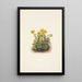 Potentille en rosette Potentilia uniflora - Mary Vaux Walcott — gerahmtes Bild an der Wand