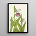 Sabot de la Vierge Cypripedium reginae - Mary Vaux Walcott — quadro incorniciato alla parete