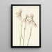 Linaigrette à feuilles étroites Eriophorum angustifolium - Mary Vaux Walcott — quadro incorniciato alla parete