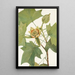 Tulipier de Virginie Liriodendron tulipifera - Mary Vaux Walcott — gerahmtes Bild an der Wand